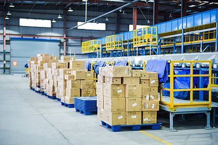 IWILL روزانہ پیداوار اور ترسیل